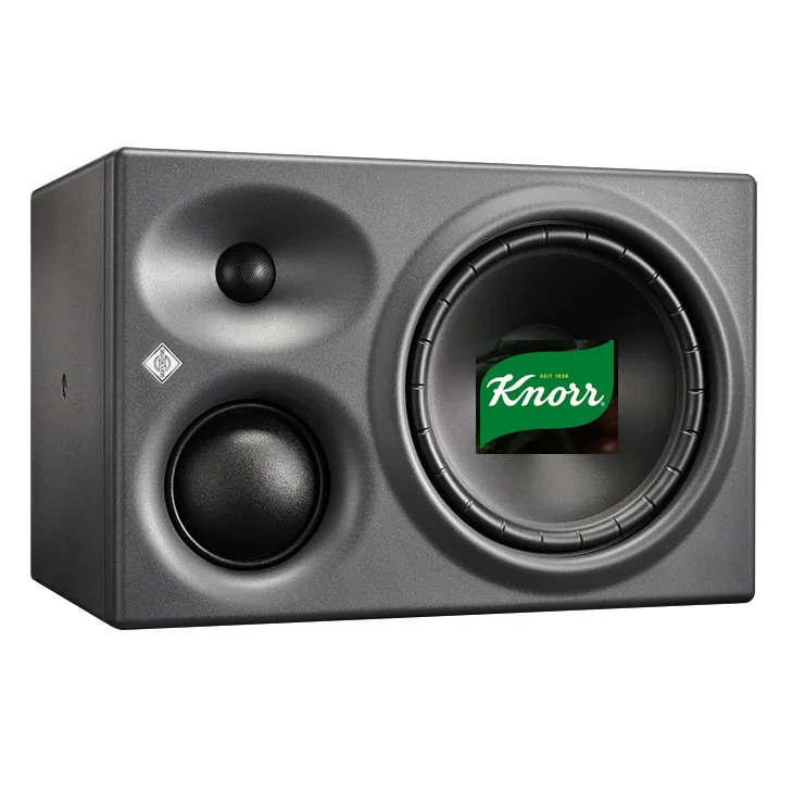 Neumann 310 Knorr.webp