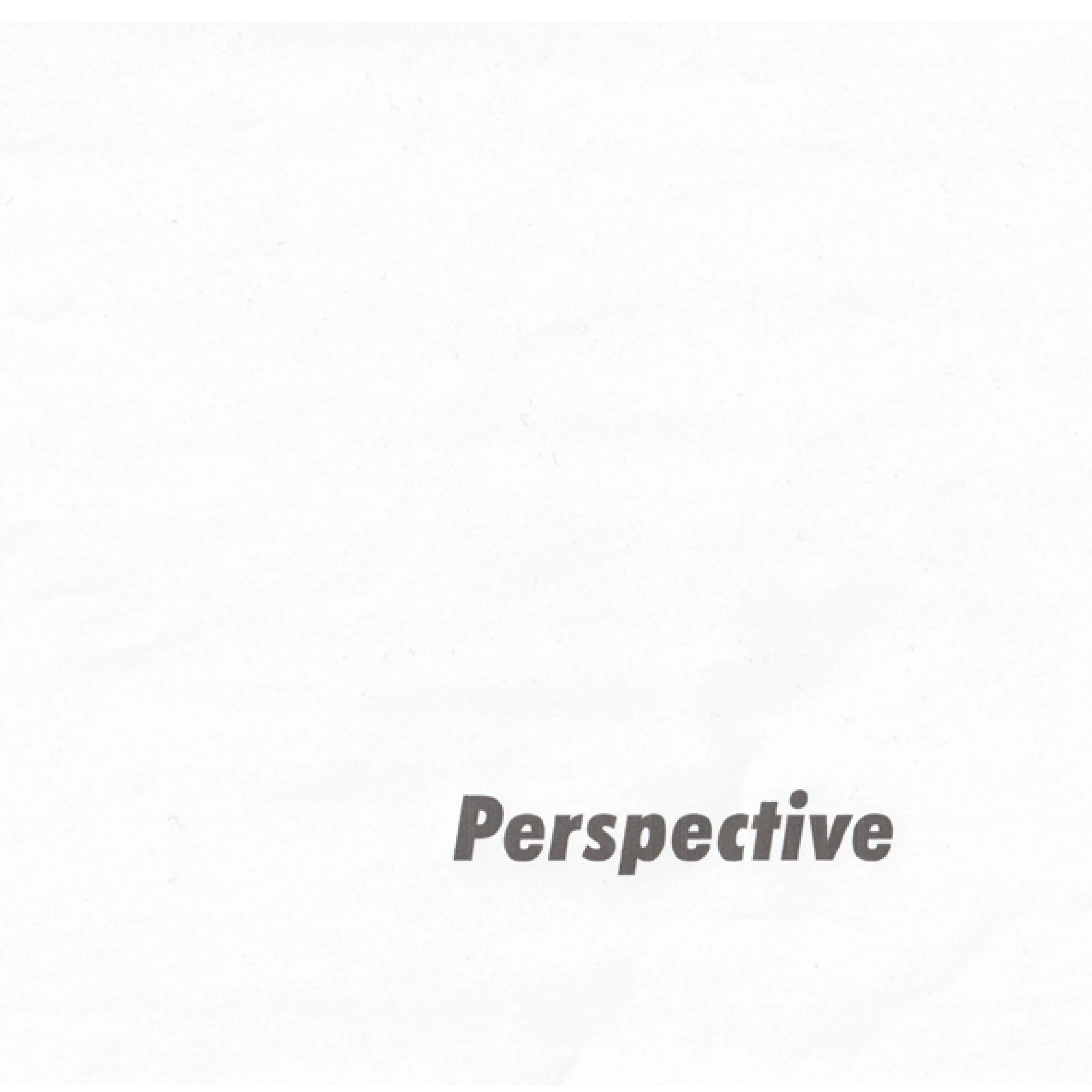 PERSPECTIVE_FINAL.webp