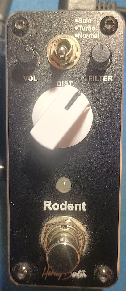 Rodent.jpg
