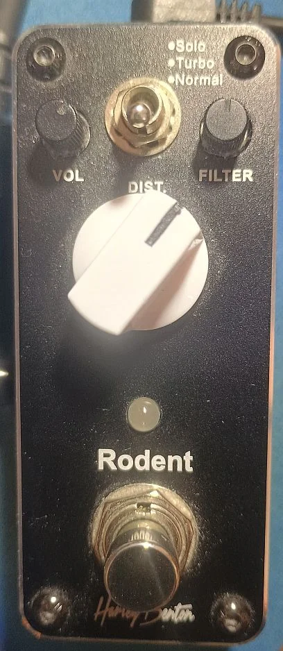 Rodent.jpg