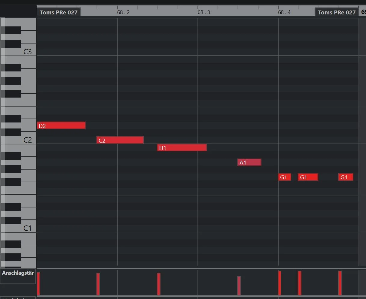 toms.webp