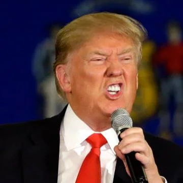 trump_2682016.webp
