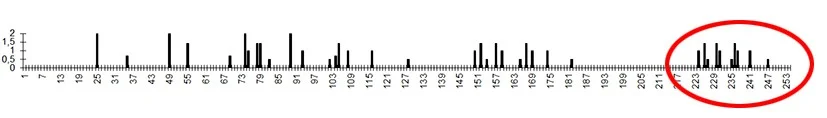 Unbenannt-1.webp