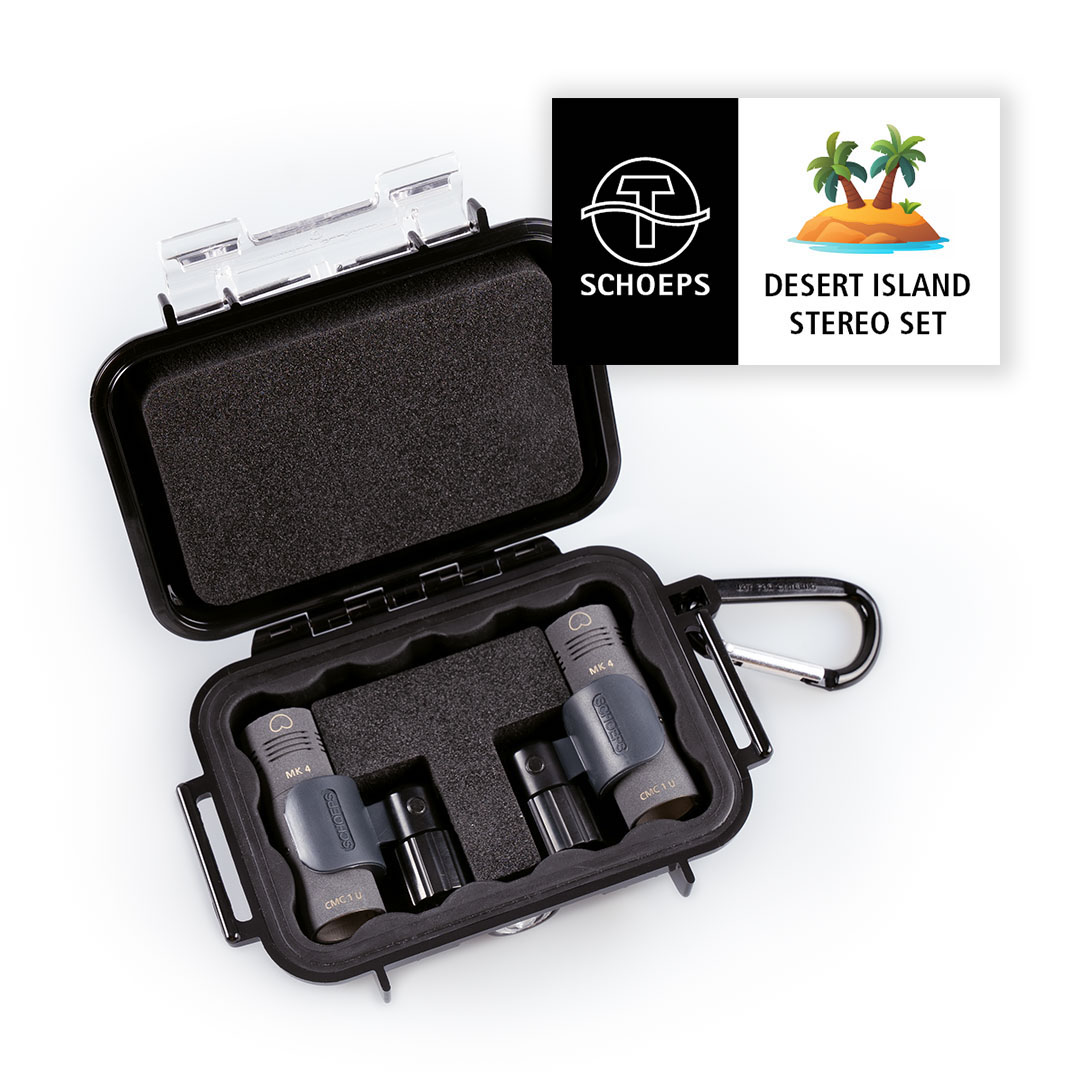 w_desertisland_stereoset_case_full_logo_.jpeg w_desertisland_stereoset_case_full_logo_.jpeg