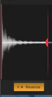 Waterphone_Xpression_11.webp