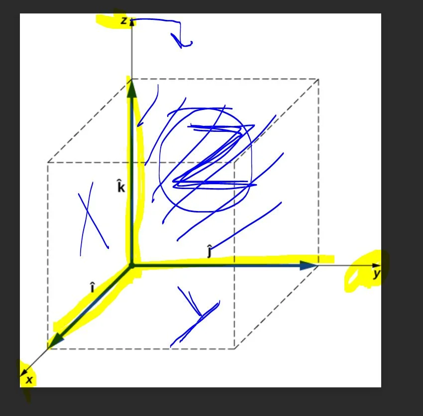 zxy.webp