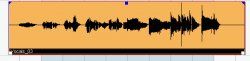 vocalaufnahme.jpg