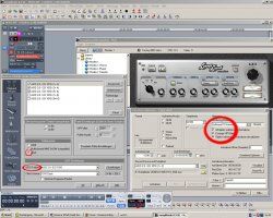 samplitude-settings.jpg