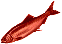 roterfisch.gif