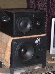 monitore small.gif