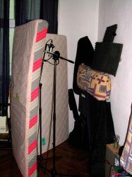 vocals.jpg