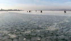 20170129_154622.jpg