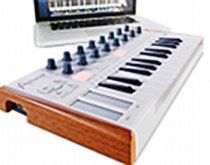 Arturia MiniLab - Kleines MIDI-Keyboard mit vielen Reglern.jpg