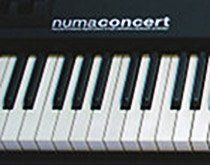 Studiologic präsentiert Numa Concert.jpg