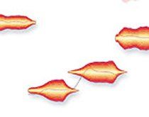 Kostenlose Melodyne-Seminare von Celemony.jpg