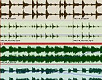 Neues Tracktion Upgrade jetzt verfügbar.jpg