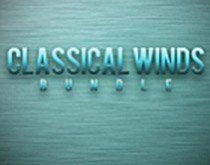8DIO Claire Woodwinds Bundle jetzt erhältlich.jpg