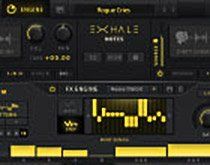 Output Exhale: Vocal-Spezialist.jpg