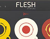 Native Instruments Flesh: Instrument von Tim Exile.jpg