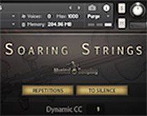 Test der Soaring Strings von MusicalSampling.jpg