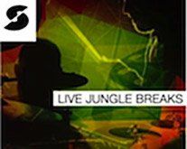 Jungle Breaks und Techno Fragmente.jpg