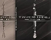 NI Symphony Series – Woodwind.webp