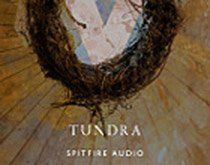 Test: Spitfire Audio – Albion V Tundra.jpg