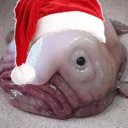 87381mütze.webp