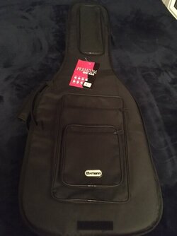 Gigbag deluxe_1.JPG