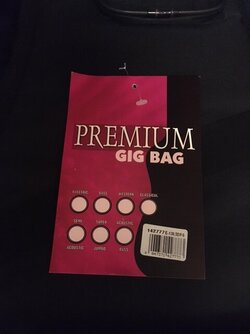 Gigbag deluxe_3.JPG