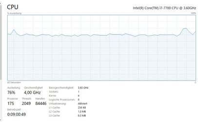 CPU Auslastung.jpg