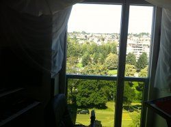 IMG_2013.jpg