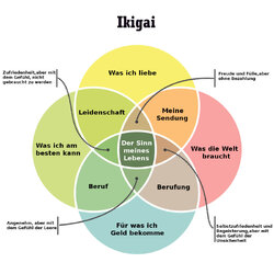 Ikigai DeutschNEU.jpg
