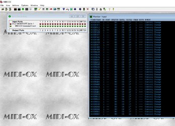 Midi-OX.jpg
