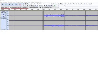Einstellungen Audacity.webp