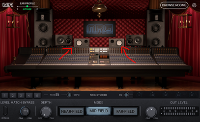 ns10.png