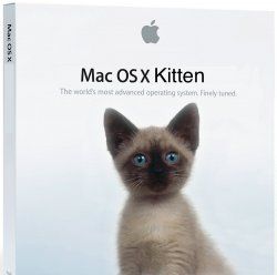 osxkitten.jpg