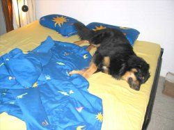 timo_morgens_5453.jpg