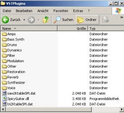 Inhalt VST PlugIn Ordner.jpg
