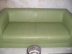 SDC13901.jpg