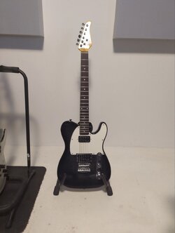 schecter.jpg