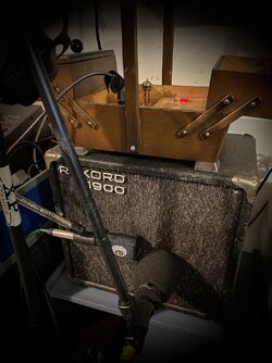 IMG_3290.jpeg