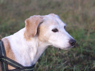 Luzie Portrait.jpg