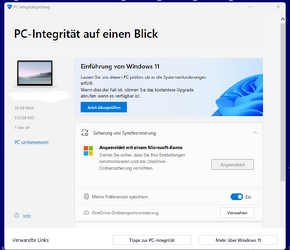 PC-Integritätsprüfung.png