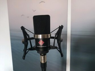 neumann1.jpg