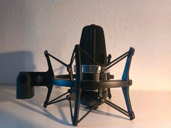 neumann 5.jpg