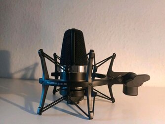 neumann 7.jpg