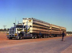 Road Train 72 dpi.jpg