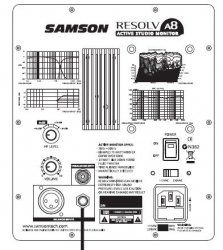 2_Samson BAck.jpg