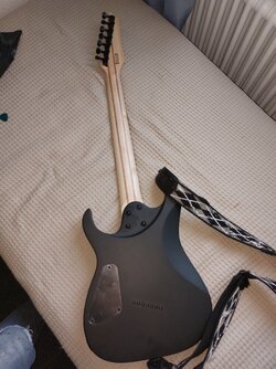 20231001_113357.jpg